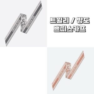 디올 쁘띠스카프 트윌리 방도 미니스카프
